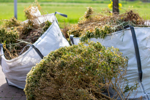 Best Garage Cleanout  in Patterson, CA